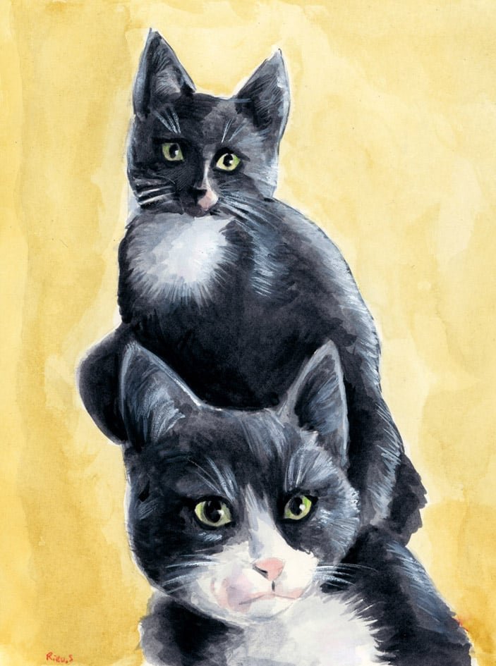 Katzen-Aquarell