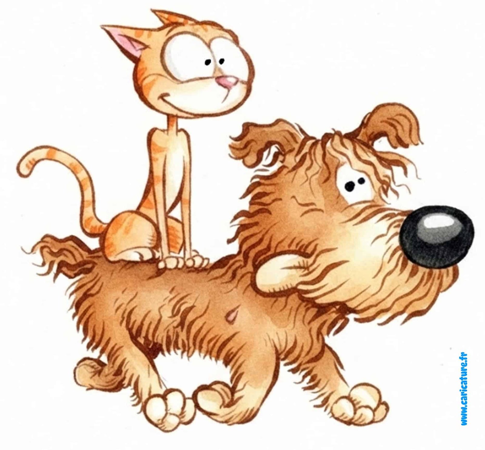 Dog & Cat Cartoon