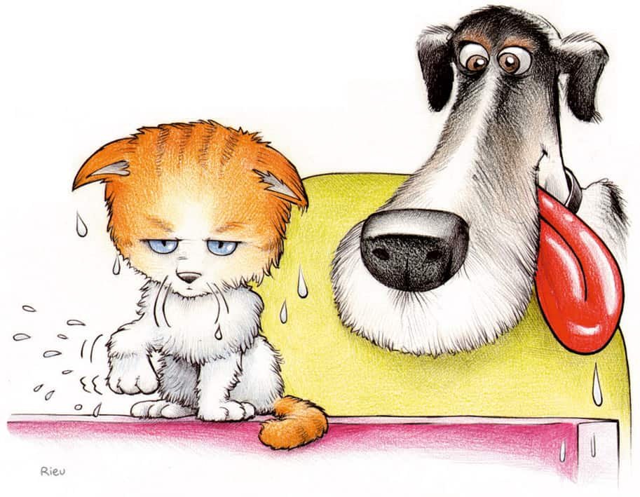 Dog and Cat Portrait