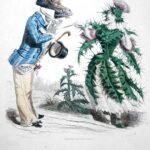 The Thistle (Le Chardon) - 1867