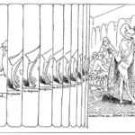 History of Albert (Histoire d'Albert, 1845) - A satirical tale about careerism and political agitation.