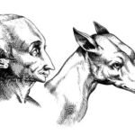 Man and dog. De humana physiognomonia, Giambattista della Porta.