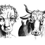 Man and cow, G. Della Porta, De humana physiognomonia, 1586.