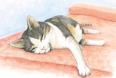 Finished cat portrait in ink and watercolour, painted by Sébastien Rieu